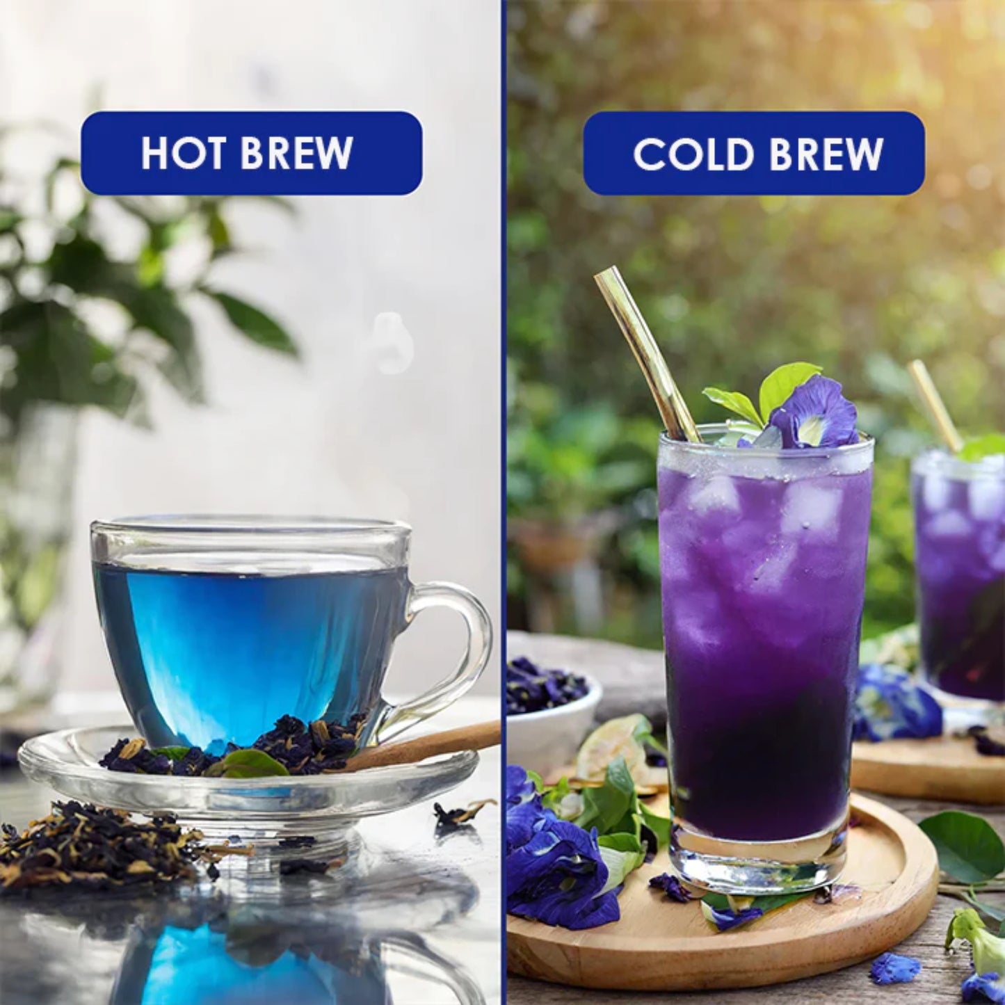BLUE PEA TEA - 30gm