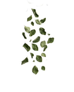 Moringa