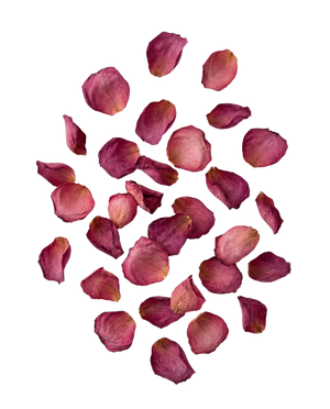 Rose Petals