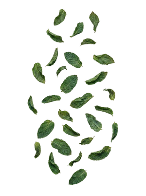 Peppermint