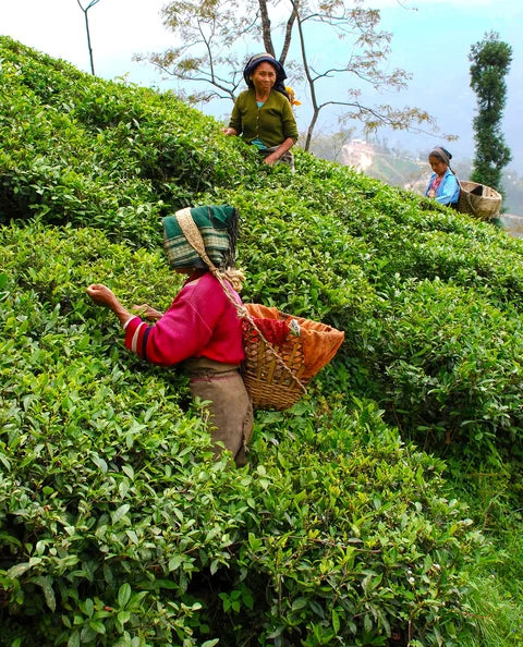 Sourcing