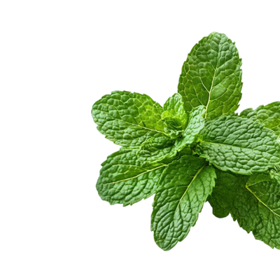 Peppermint