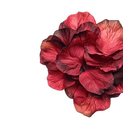 Rose Petals