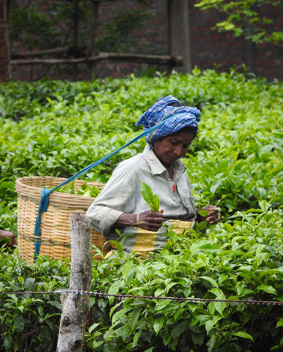 Sourcing